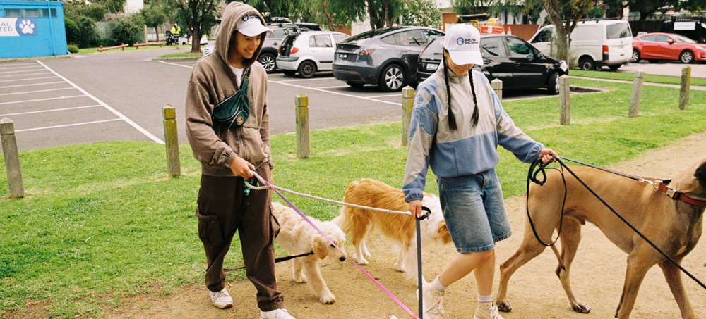 Two volunteer dog walkers taking a number of dogs for a walk 