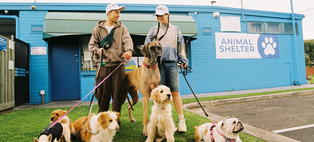 Volunteer dog walkers with several dogs in front of an animal shelter