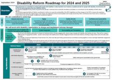 Disability Reform Roadmap cover image