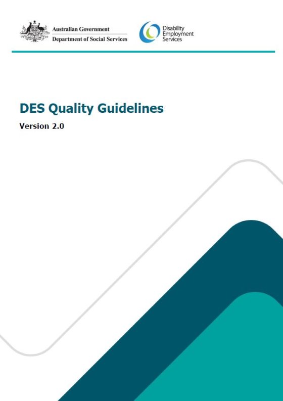 cover of DES Quality Guidelines